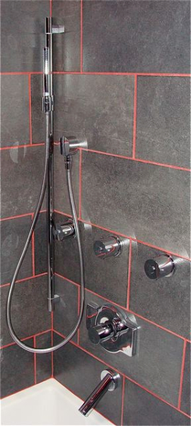 fancyshowersleek1 fancyshowersleek1