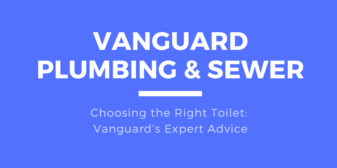 Choosing the Right Toilet: Vanguard’s Expert Advice