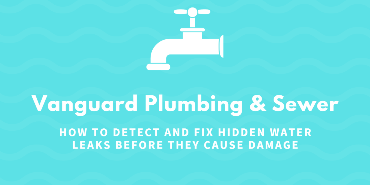 How to Detect and Fix Hidden Water Leaks Before They Cause Damage