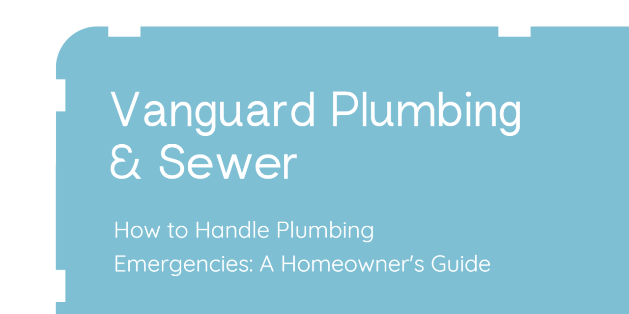 How to Handle Plumbing Emergencies: A Homeowner’s Guide